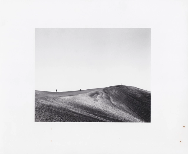 Deanna Pizzitelli — artwork