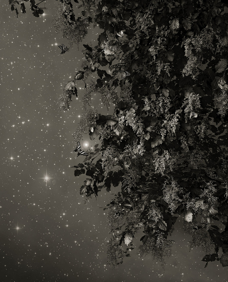 Whitney Lewis-Smith — artwork