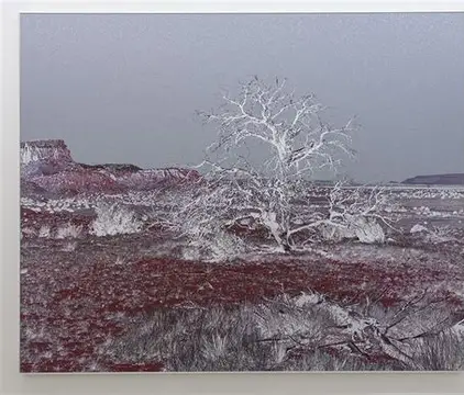 Geneviève Cadieux — artwork