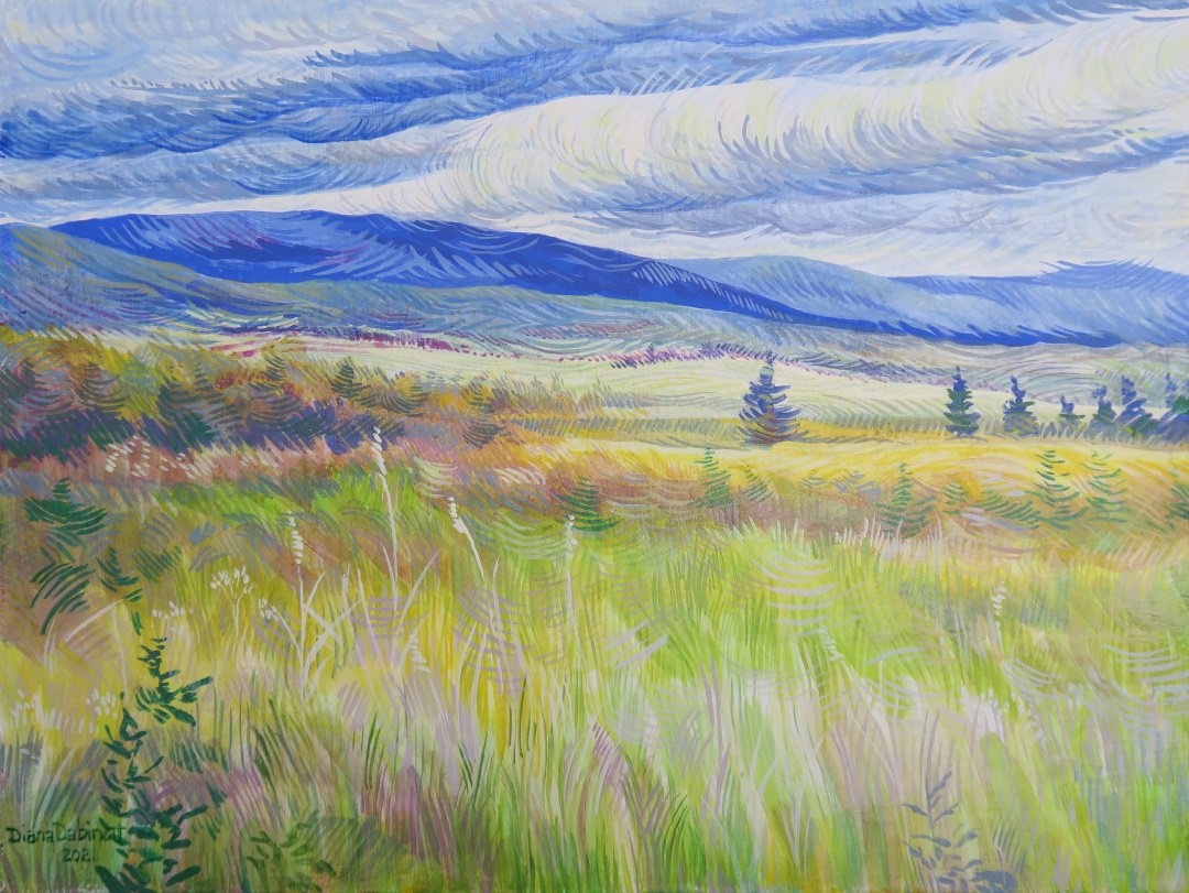Diana Dabinett — artwork