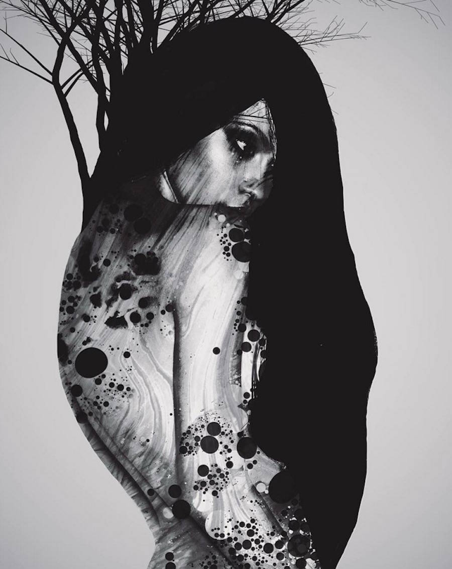 Daniel Taylor — artwork