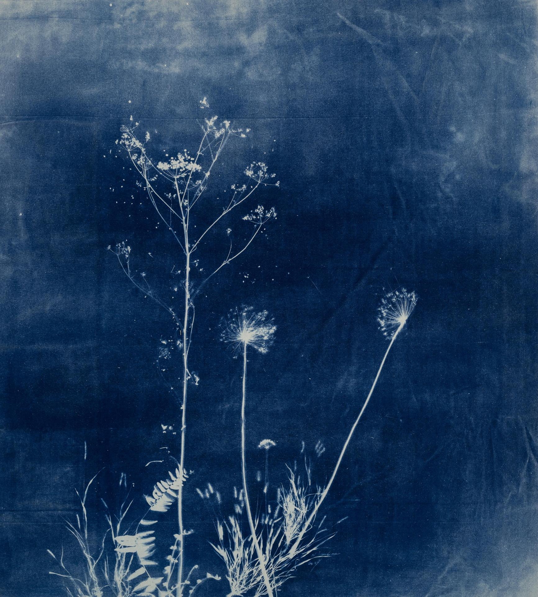 Natalja Scerbina — artwork