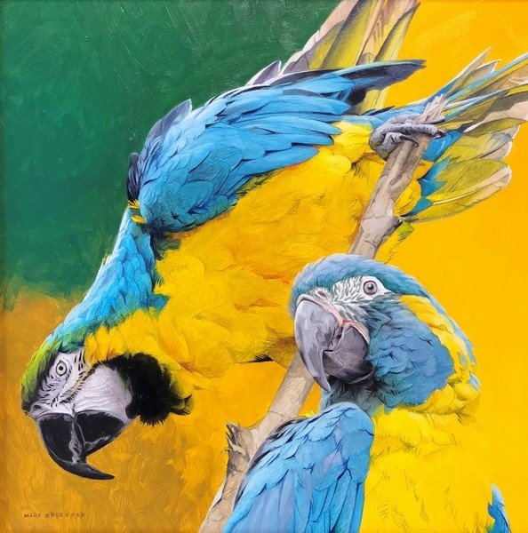 Mark Eberhard — artwork