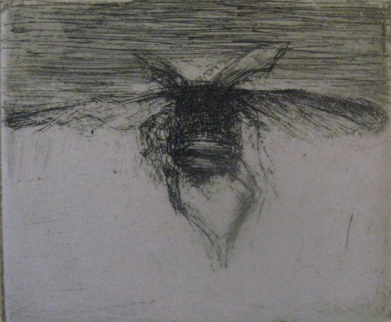 Arnold Saper — artwork