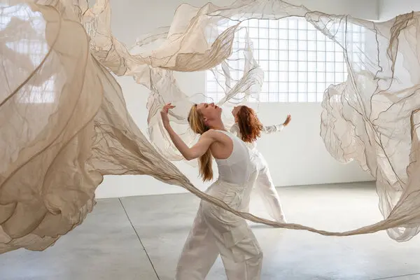 Evelyn Roth — artwork