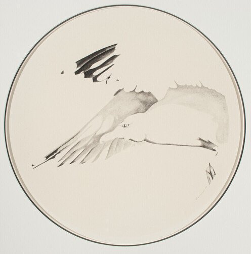 Hart Swedersky — artwork