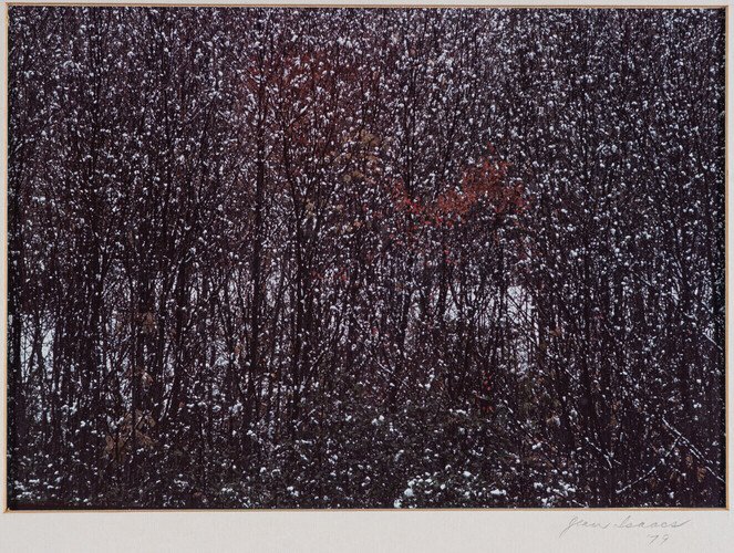 Jean Isaacs — artwork