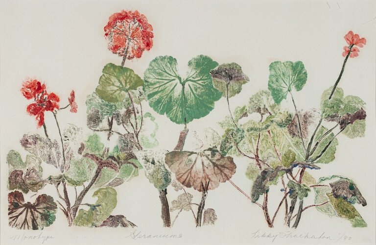 Libby Shackleton — artwork