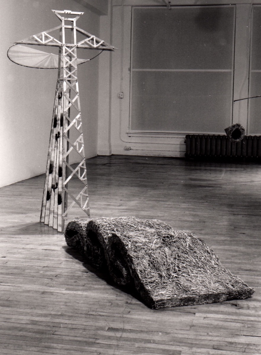 Mireille Plamondon — artwork