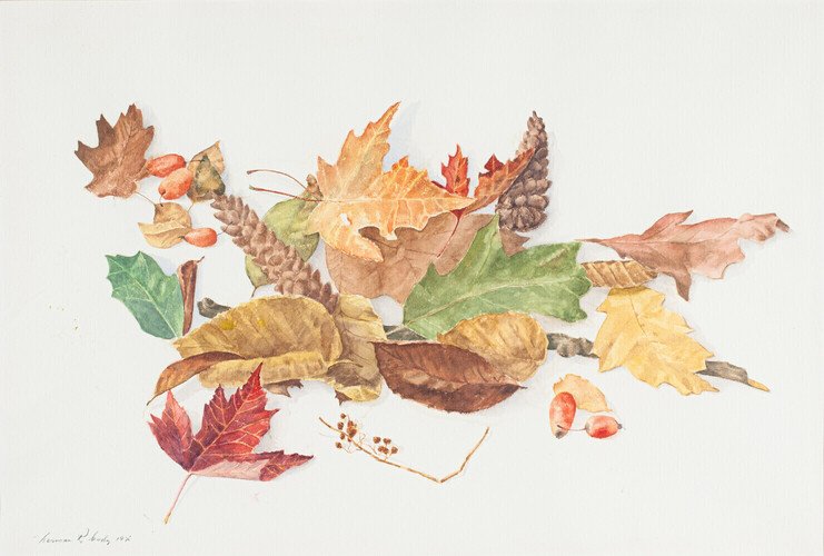 Norman Redmond Cody — artwork