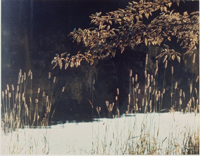 Roland Picard — artwork