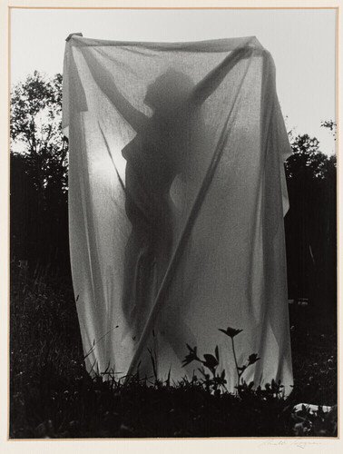 Ronald Goguen — artwork