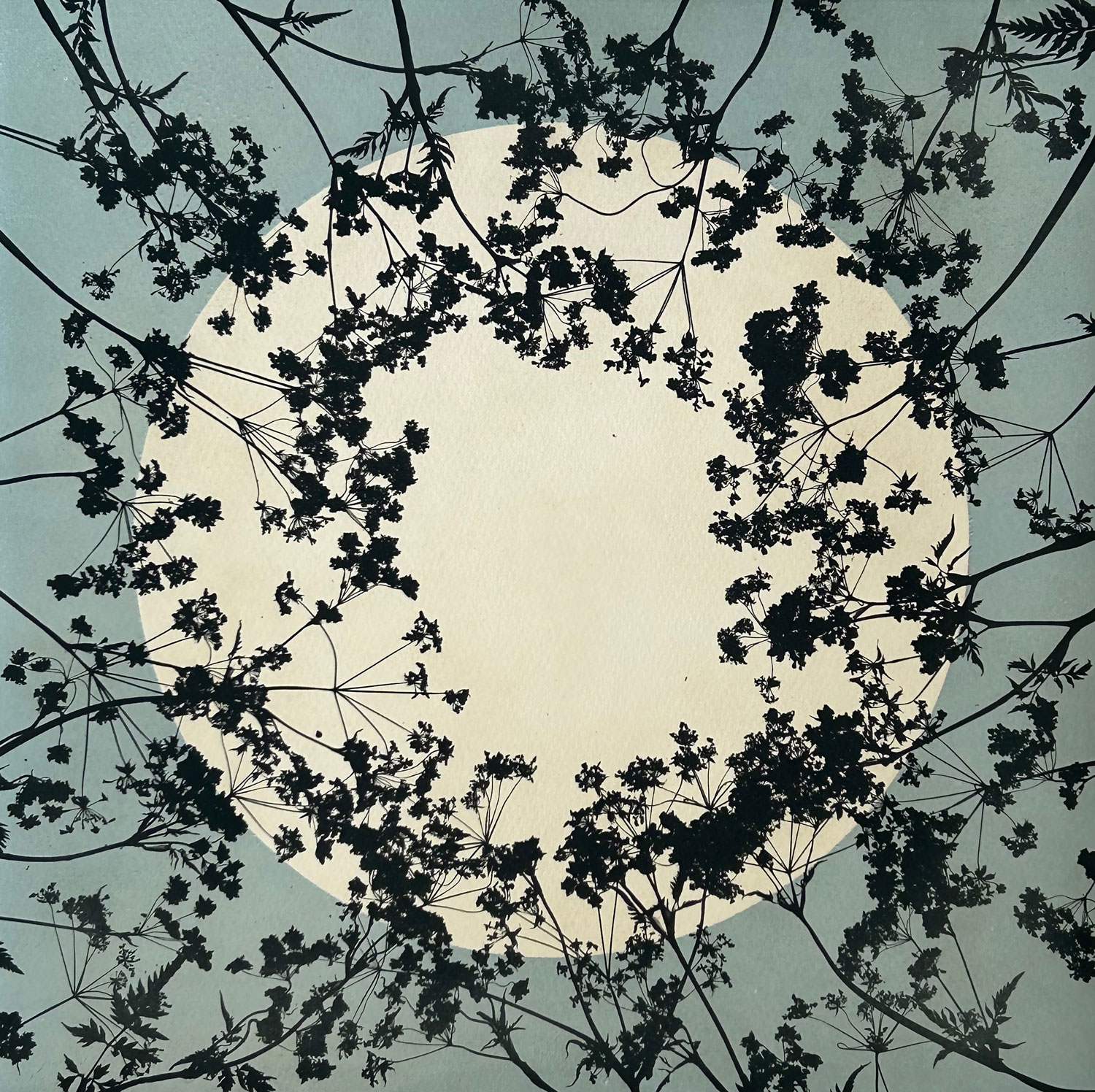 Susan Turner — artwork