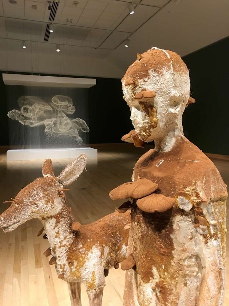 Xiaojing Yan — artwork