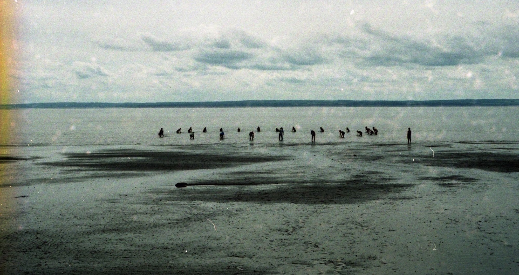 Lindsay Dobbin — artwork