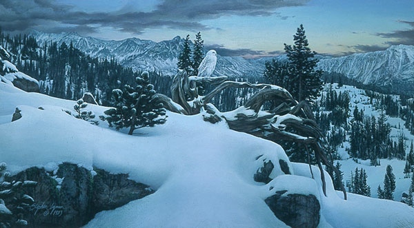 Stephen Lyman — artwork