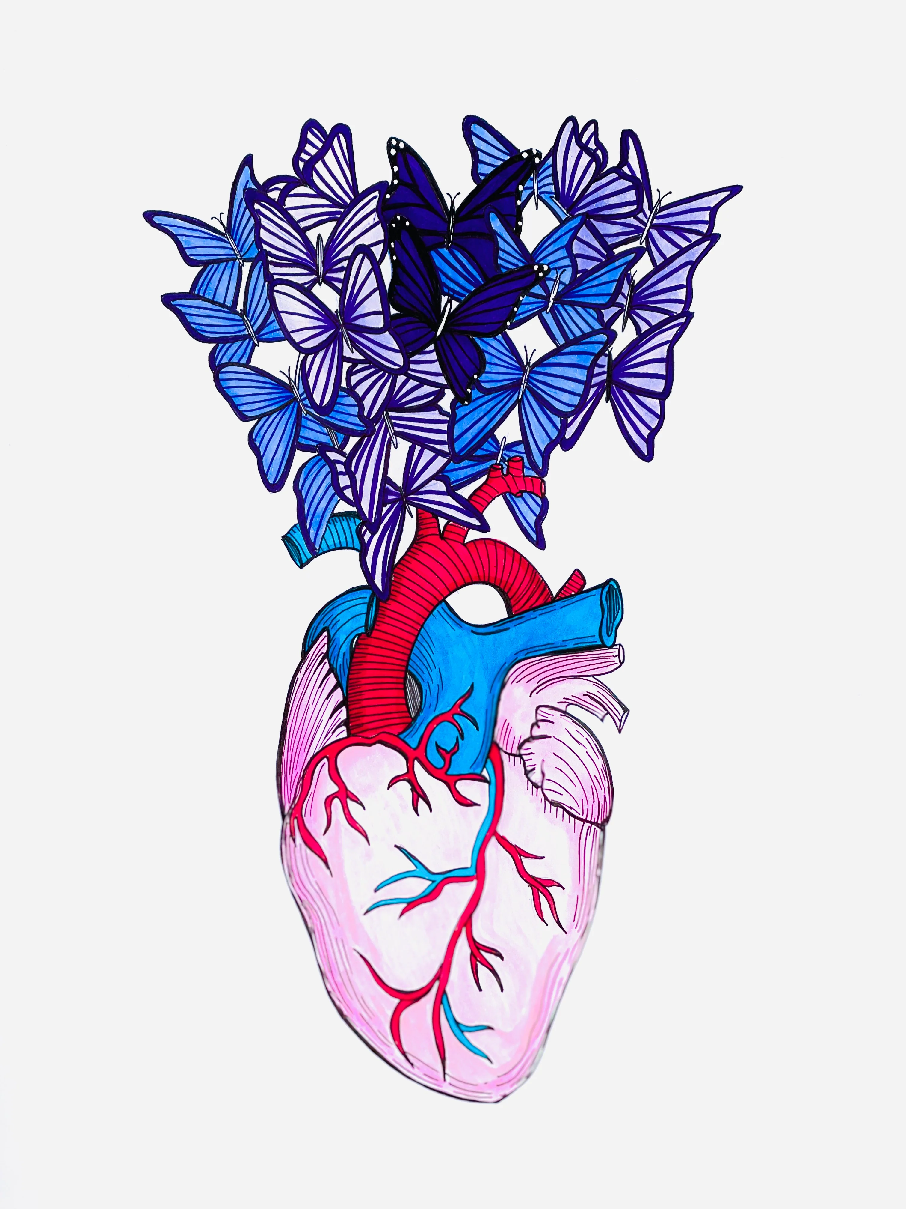 Jacobus van Houdt — artwork