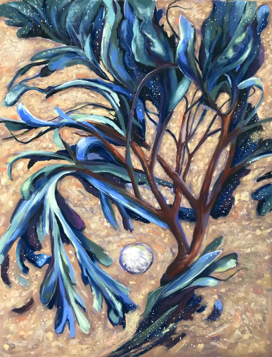 Agnes Seaweed Wisden — artwork