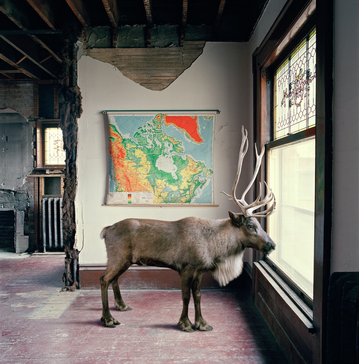 Maureen O’Connor — artwork