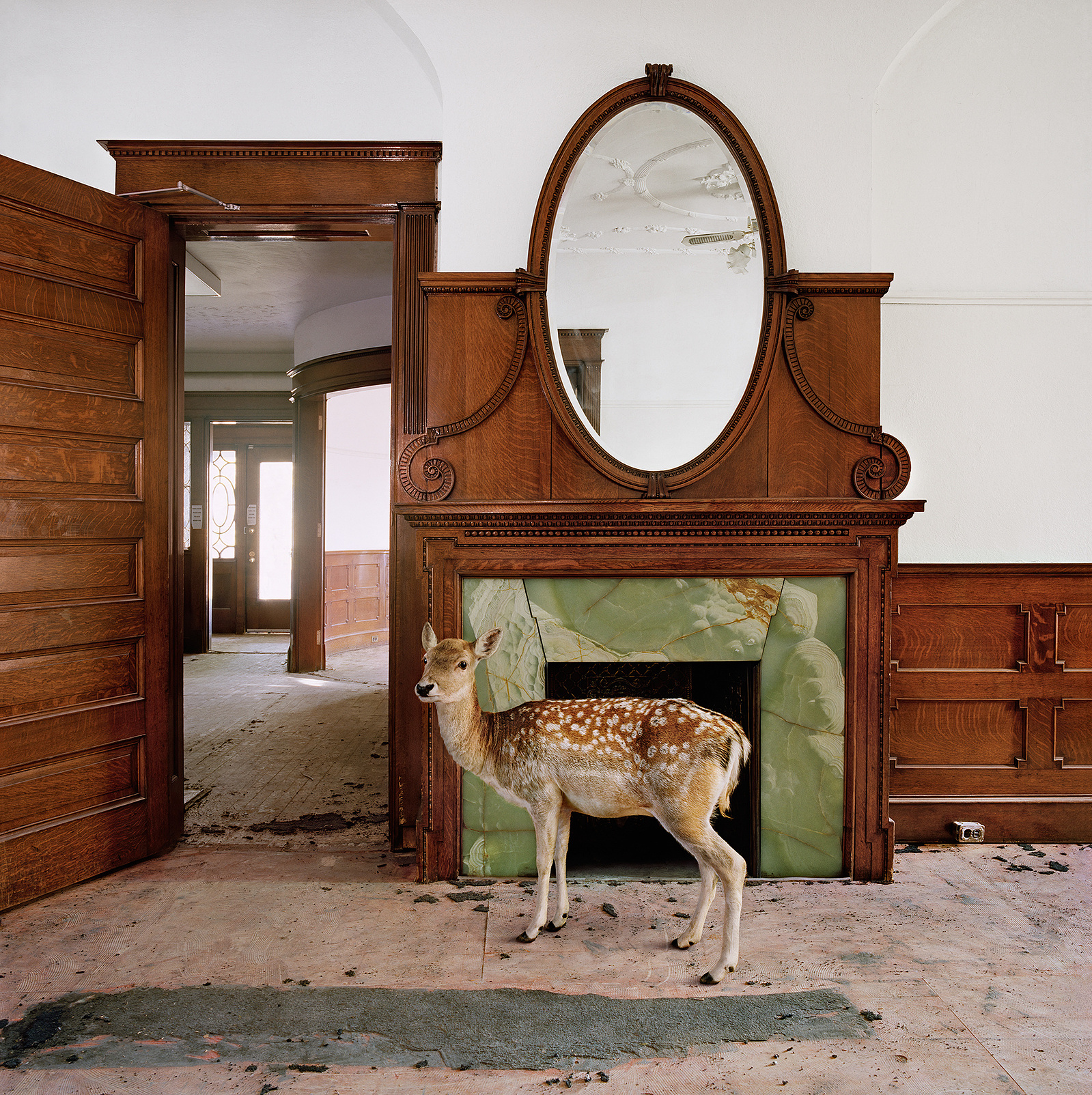Maureen Oconnor — artwork