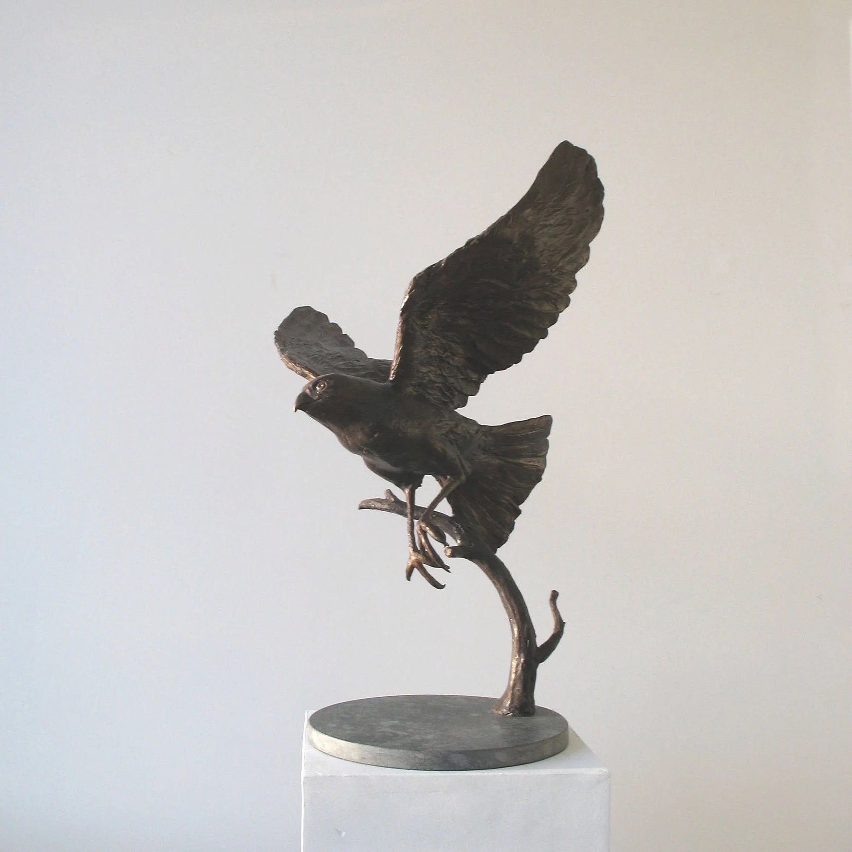 Aleen Sparrow — artwork