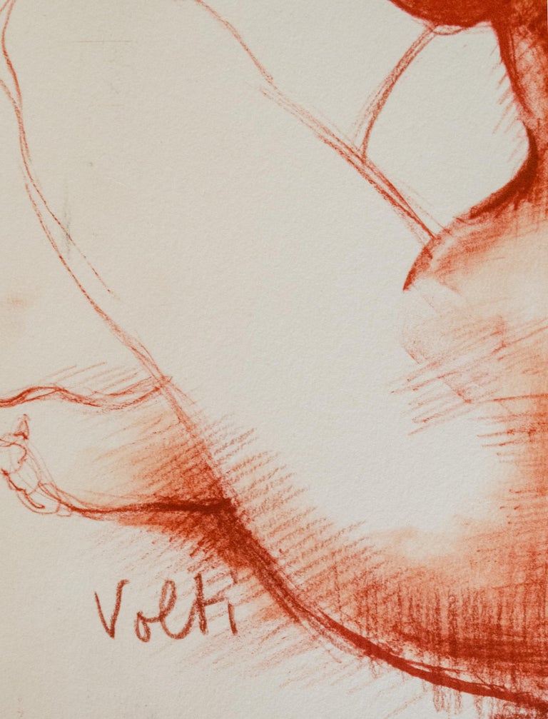 Antoniucci Volti
