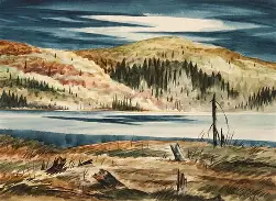 Carl Fellman Schaefer — artwork