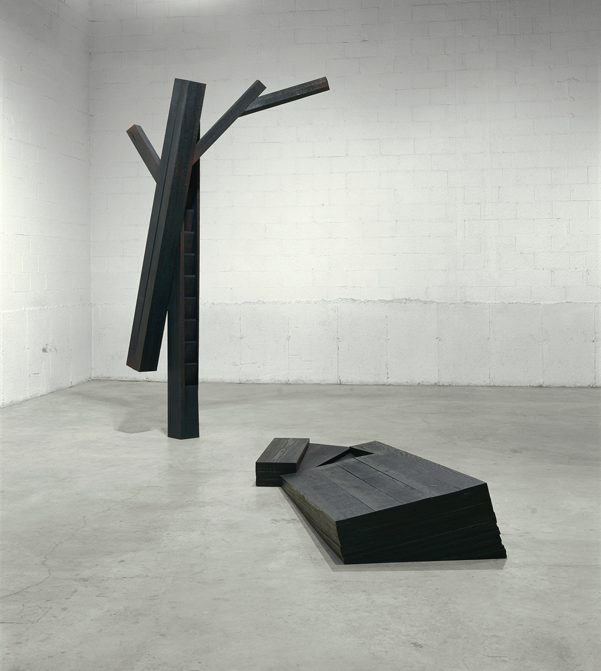 Roland Poulin — artwork