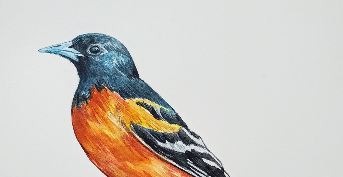 Johny Pham — artwork