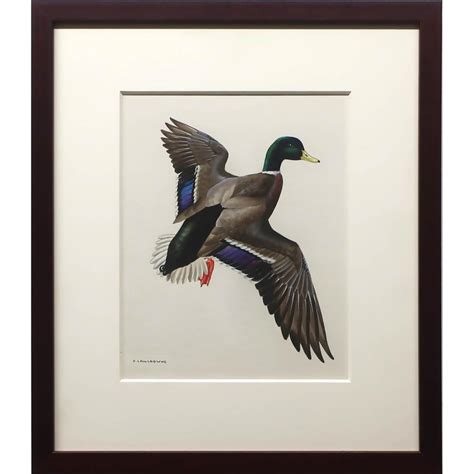 James Fenwick Lansdowne — artwork