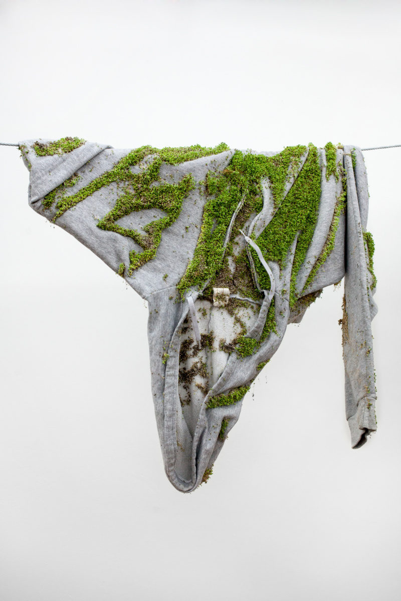 Bea Fremderman — artwork