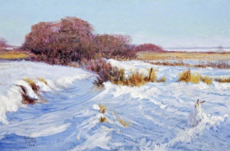 Clarence Tillenius — artwork