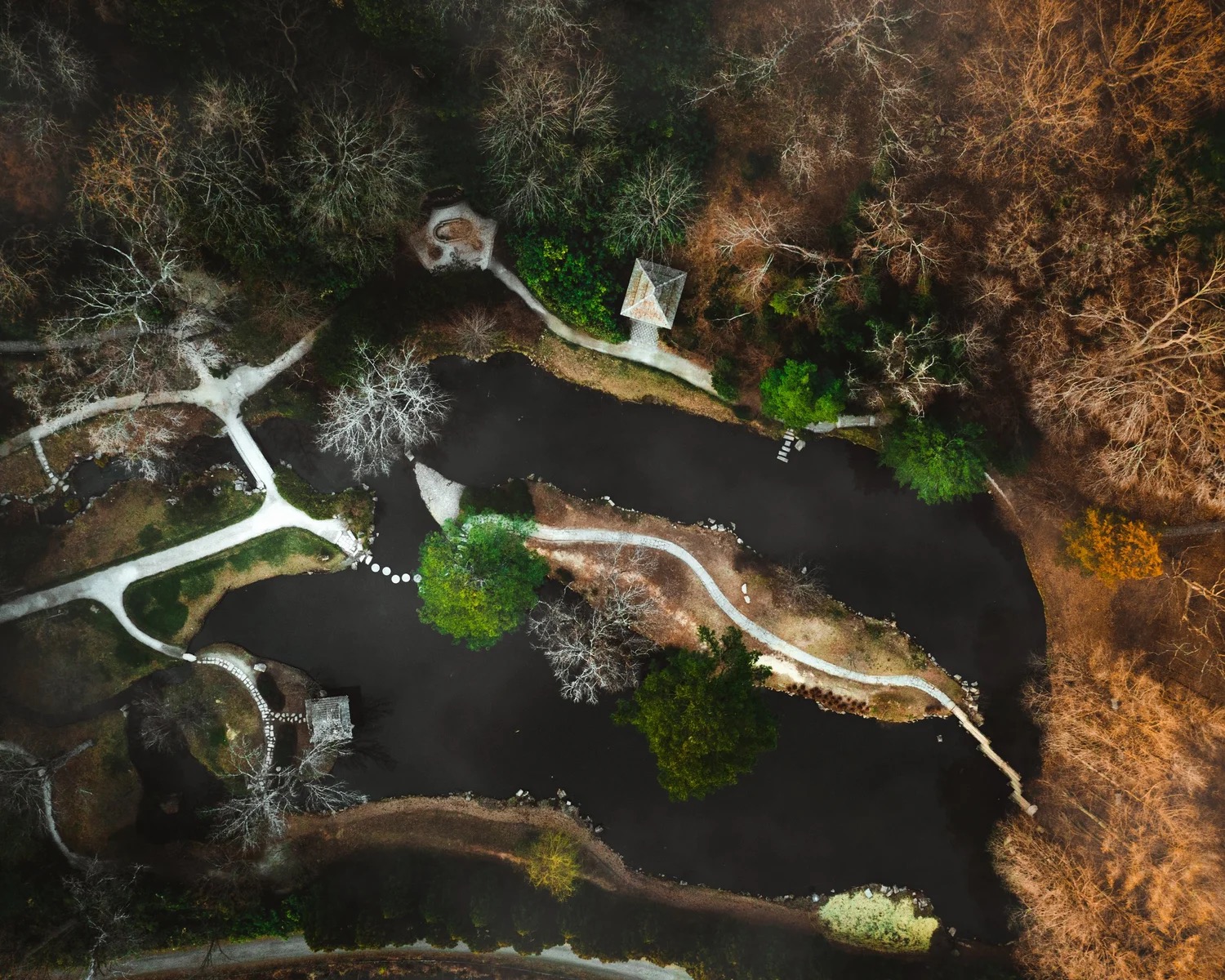 Tony Greene — artwork