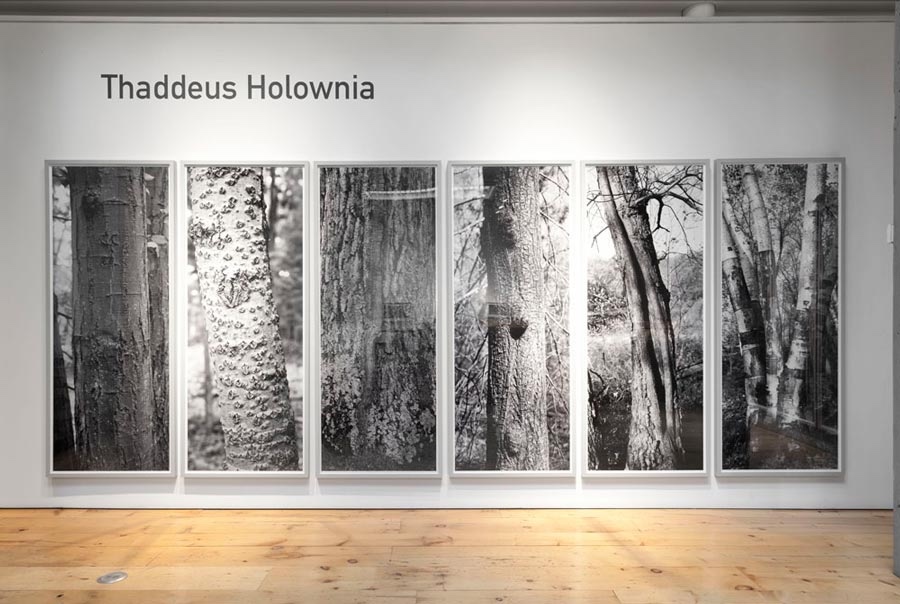 Thaddeus Holownia — artwork