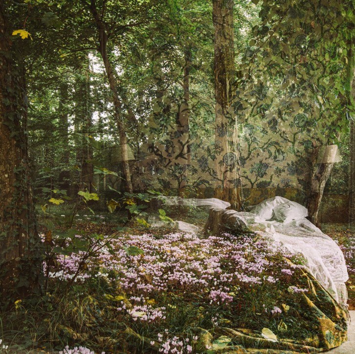 Joanna Johnston — artwork