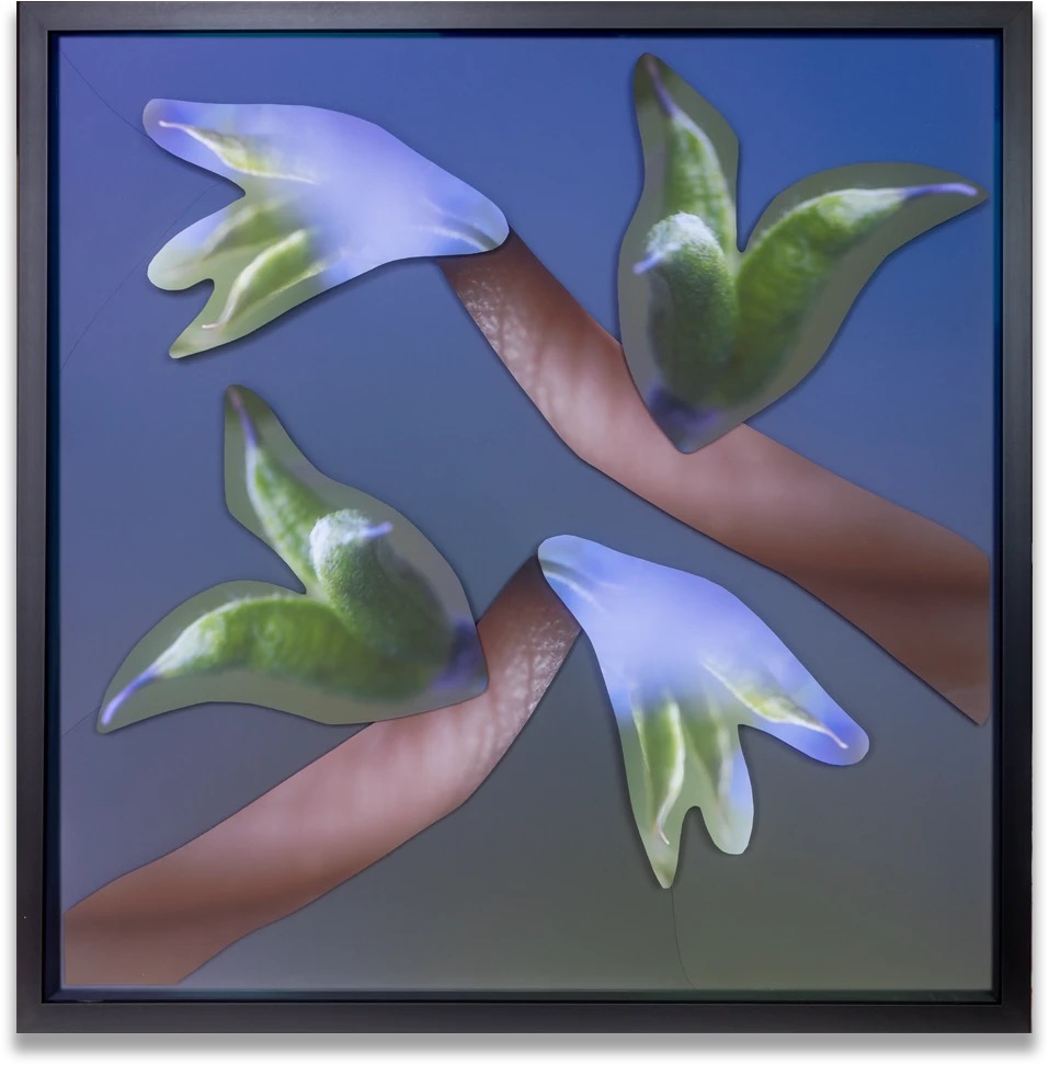 Maria Munar — artwork