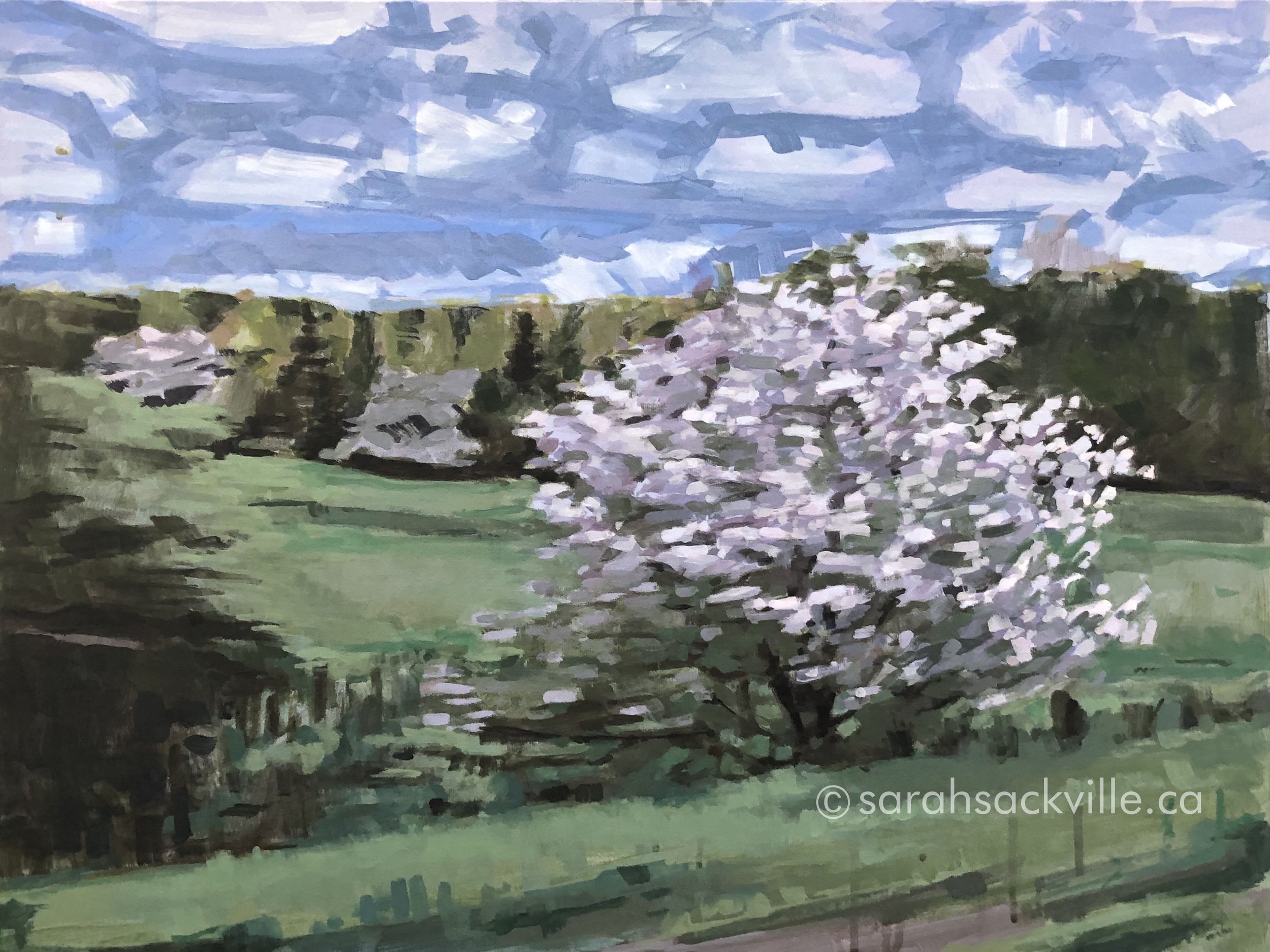 Sarah Sackville — artwork