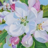 Emily Bickell — artwork