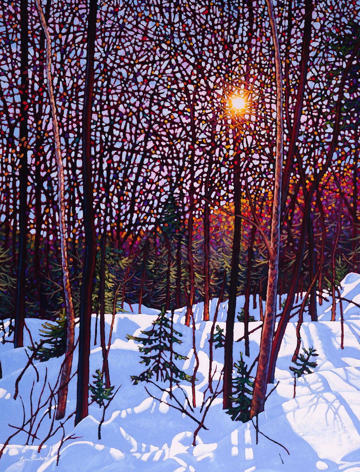 Tim Packer — artwork