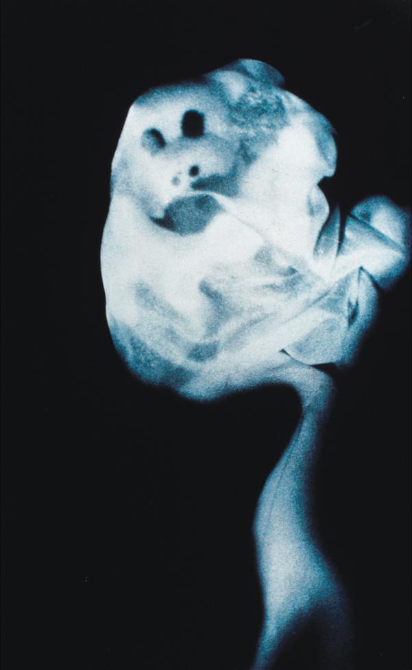 David Askevold — artwork