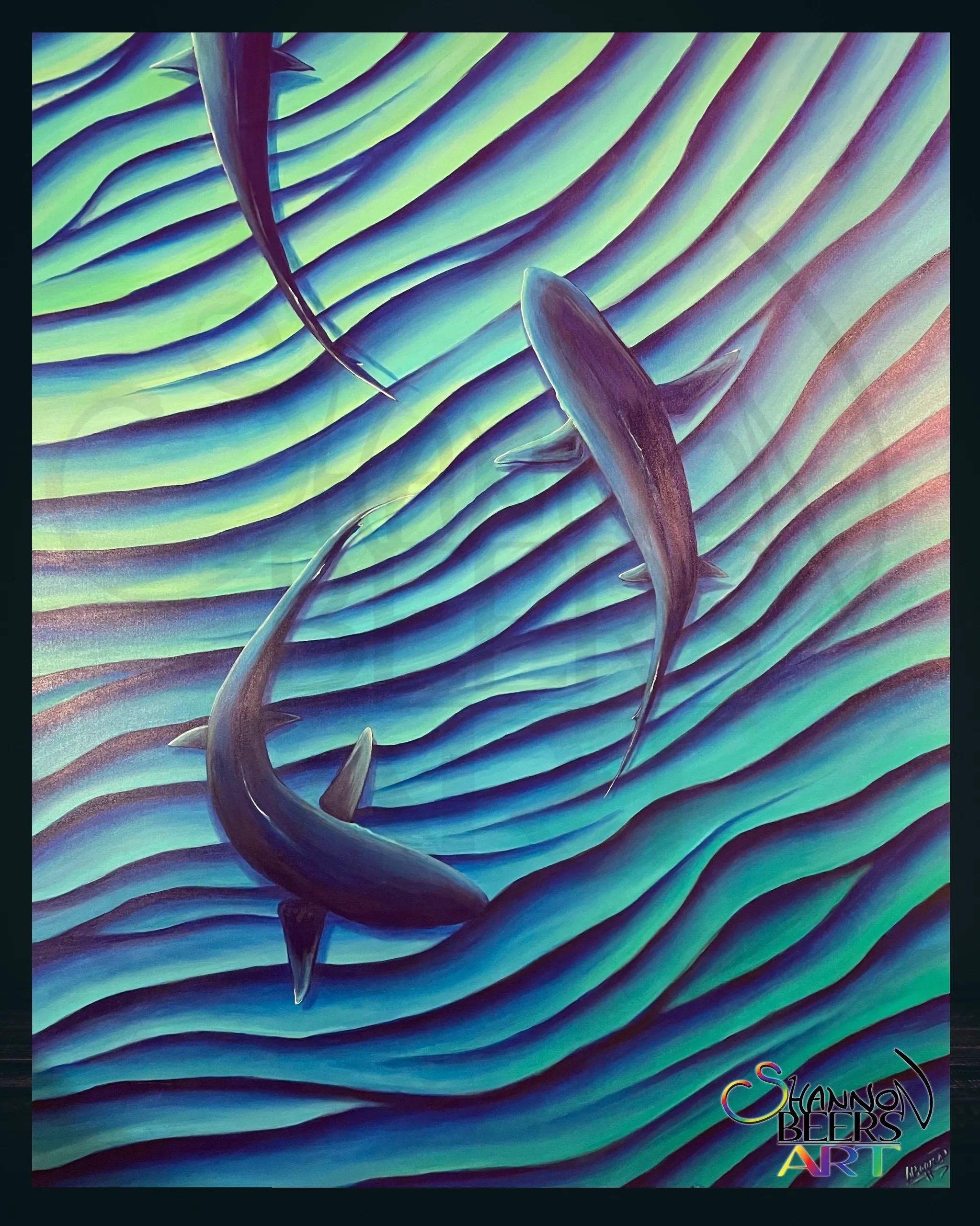 Grand Barachois — artwork