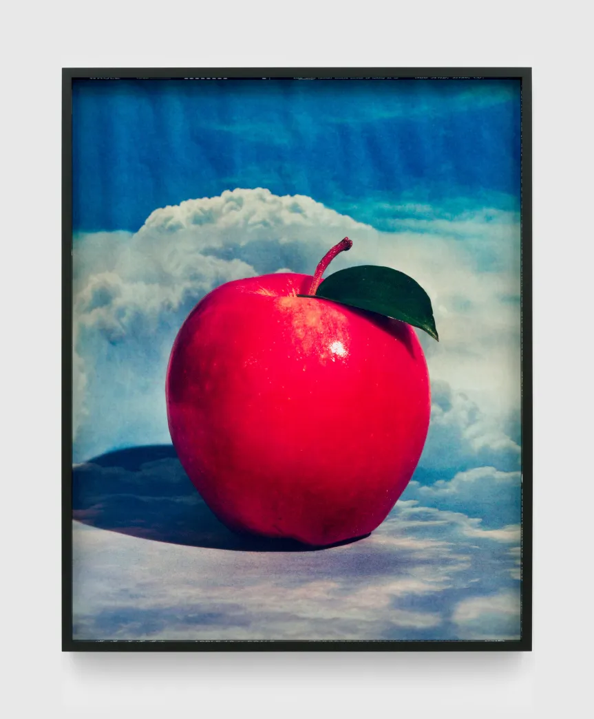 Sara Cwynar — artwork
