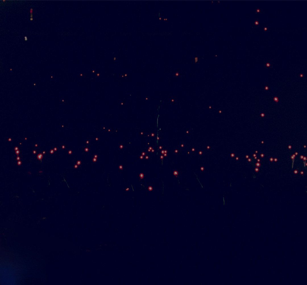 Melissa Auf der Maur — artwork