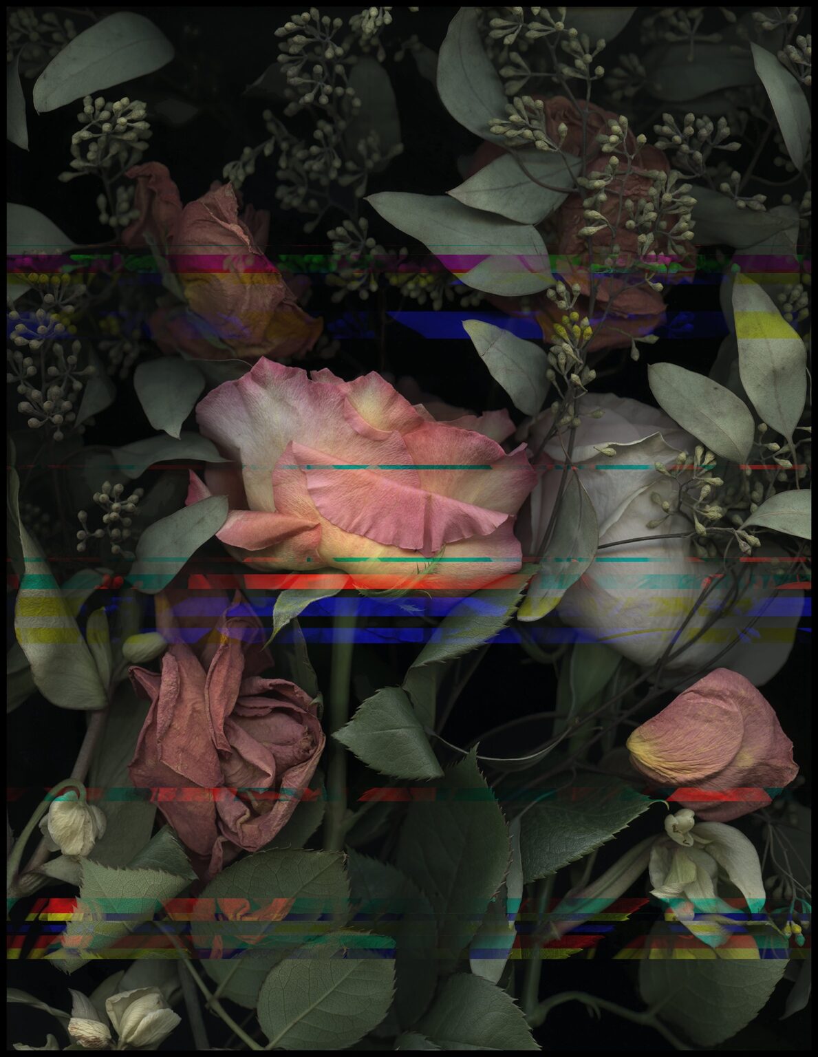 Barbara Steinman — artwork