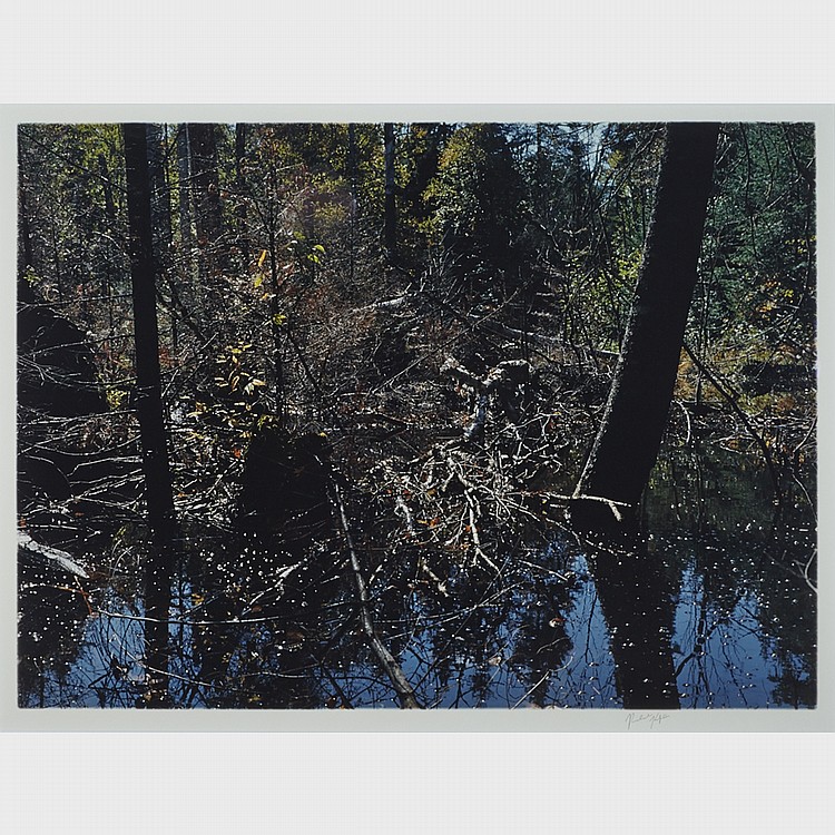 Richard Kaplan — artwork