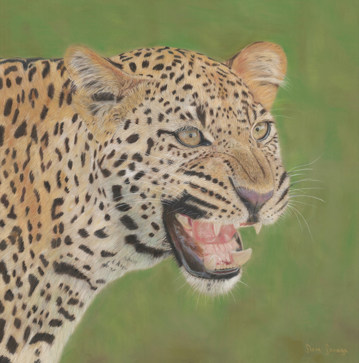 Steve Savage — artwork
