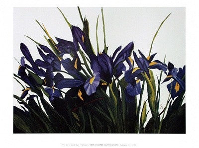 Sharon Mack — artwork