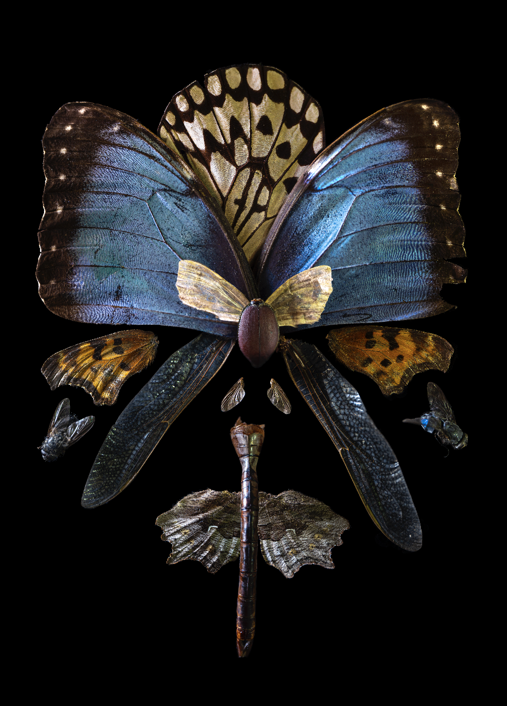 Emily Kirsch — artwork