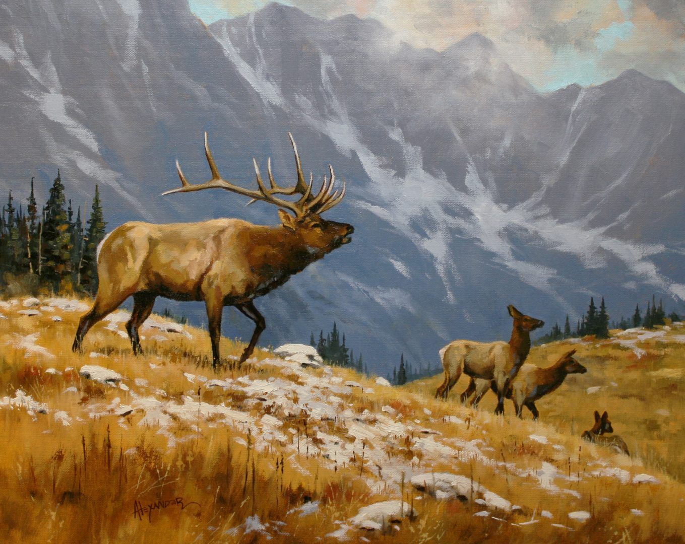 Colin Alexander — artwork