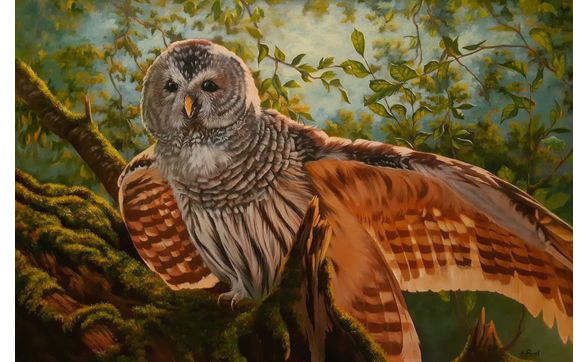 Kristi Bird — artwork